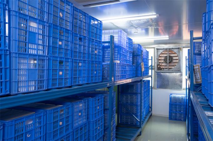 OEM 12mm البطن الجراحي الاستخدام حسون مبزل يمكن التخلص منها بالمنظار 7