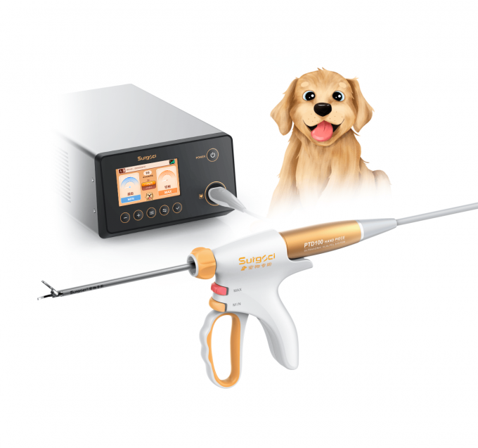 جراحة المنظار بالموجات فوق الصوتية نظام مشرط الإرقاء للاستخدام البيطري 1