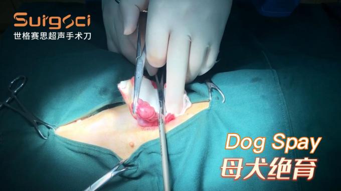 Ligasure Instruments نظام المبضع البيطري بالموجات فوق الصوتية لجراحة الحيوانات الأليفة 6