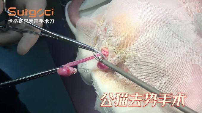 Ligasure Instruments نظام المبضع البيطري بالموجات فوق الصوتية لجراحة الحيوانات الأليفة 5