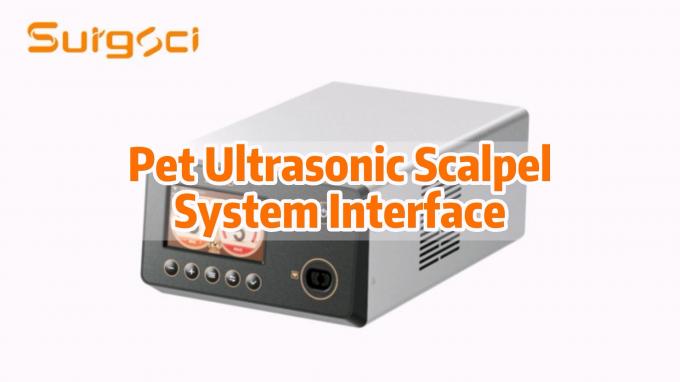 آخر أخبار الشركة منظومة مقلاع بالموجات فوق الصوتية البيطرية 0