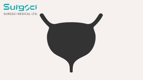 آخر أخبار الشركة التصنيف السريري للسل في المثانة  0